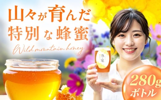 野山みつ 1本（280g）　広川町 / 株式会社九州蜂の子本舗 [AFAI042]