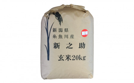 『新之助』玄米20kg 新潟県糸魚川産 2023年 令和5年産 しんのすけ 農家自慢の特選米