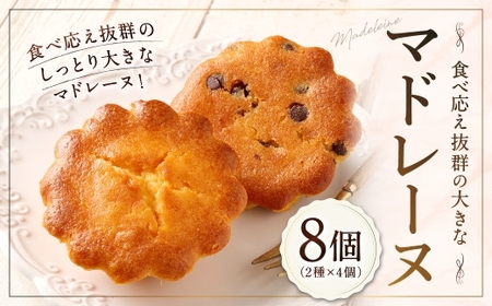 大きい！マドレーヌ（プレーン・チョコチップ） 8個 お菓子 菓子 デザート スイーツ マドレーヌ ビッグ BIG プレーン チョコチップ