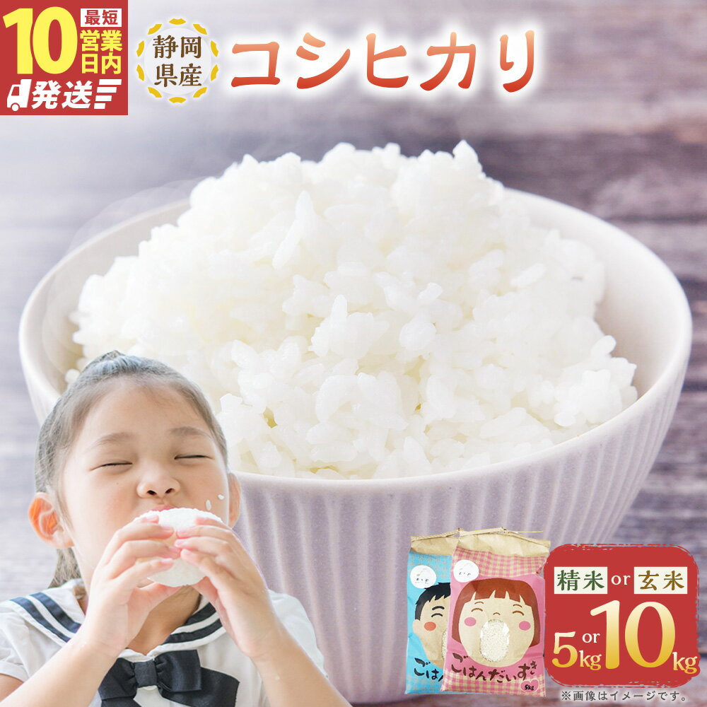 【ふるさと納税】【10営業日発送】【令和7年産】静岡県産 コシヒカリ 精米・玄米 5kg（5kg×1袋）・10kg（5kg×2袋）＜選べる種類・内容量＞ お米 米 単一原料米 ご飯 お弁当 おにぎり 国産 静岡県 菊川市 送料無料 【2026年8月下旬迄順次発送予定】