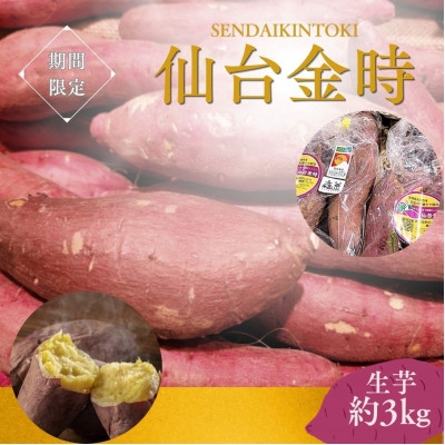 
                  ＜宮城県産＞仙台金時　さつまいも約3kg【1748701】
                