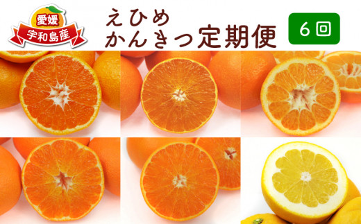 
定期便 6回 日の丸みかん 5kg 紅まどんな 10~15玉 伊予柑 5kg 甘平 5~10玉 せとか 5~10玉 河内晩柑 18~20玉前後 サイズ ミックス 愛媛県観光物産協会 果物 フルーツ 柑橘 みかん 国産 愛媛 宇和島 B115-113001
