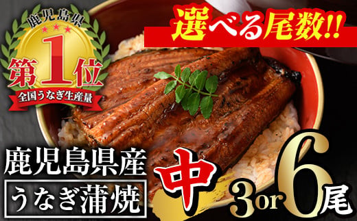 
＜尾数が選べる！＞鹿児島県産うなぎ蒲焼セット＜中＞(計330g～計660g・ 約110g×3尾～6尾) タレ・山椒付き 鰻 ウナギ 国産【西日本養鰻】
