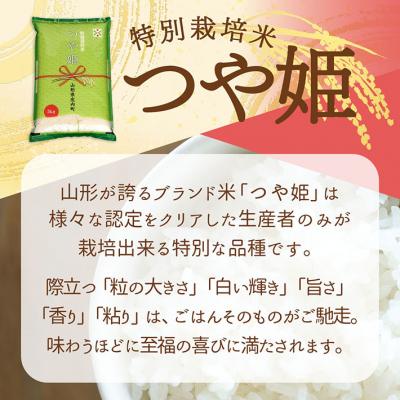 ふるさと納税 庄内町 【6か月定期便】庄内米 つや姫10kg<5月下旬発送>ブランド米 米 お米の定期便 |  | 01