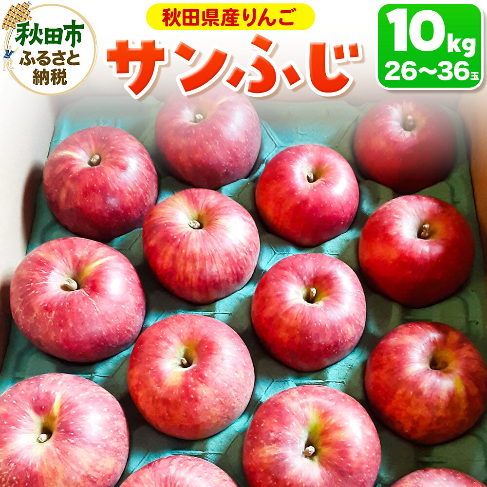 【ふるさと納税】サンふじ 10kg りんご リンゴ 林檎