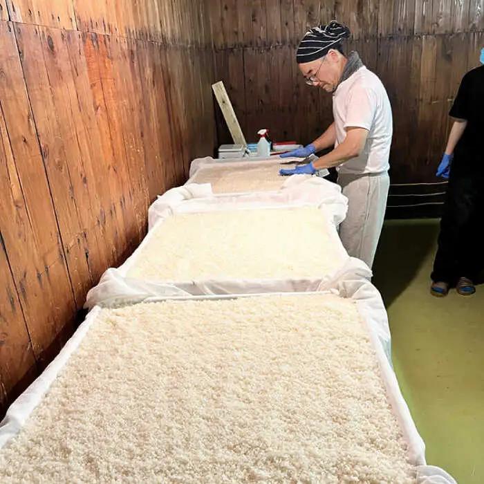 【リピーターの多い人気の逸品】日本酒 普賢の夢 特別純米・はねぎ搾り萬勝 純米吟醸 各720ml / 日本酒 にほんしゅ 酒 お酒 おさけ お試し 晩酌 日本酒 飲み比べ / 南島原市 / 酒蔵吉田屋