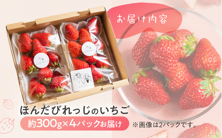 ≪先行予約≫ 苺園 ほんだびれっじの苺 4パック 計約1200g (約300g×4) 激甘 イチゴ いちご 1.2kg
