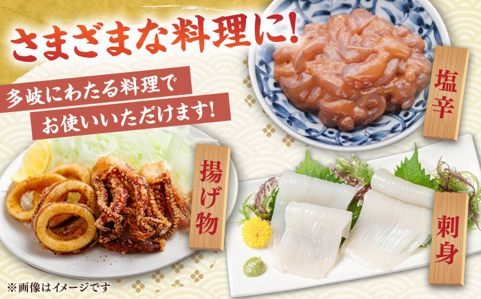 【冷凍】 スルメイカ 3尾（350～500g/尾）《壱岐市》【馬渡水産】 イカ いか 烏賊 スルメイカ するめ 刺身 刺し身 お刺身 海鮮 魚貝 冷凍配送 産地直送 [JAQ004]