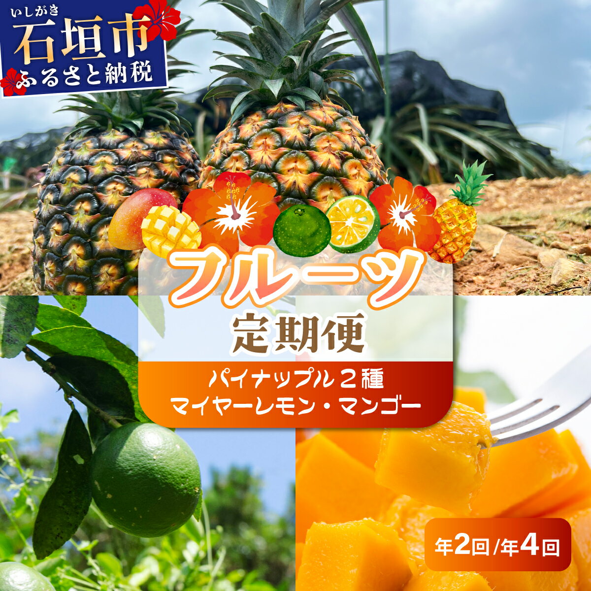 【ふるさと納税】＜選べる内容＞島のおいしいを贅沢に！【定期便】よくばり定期便（パイナップル2種、マイヤーレモン、マンゴー） | マンゴー パイン パイナップル レモン フルーツ トロピカル ふるさと納税 ふるさと 沖縄県 沖縄 石垣 石垣島 石垣市 人気