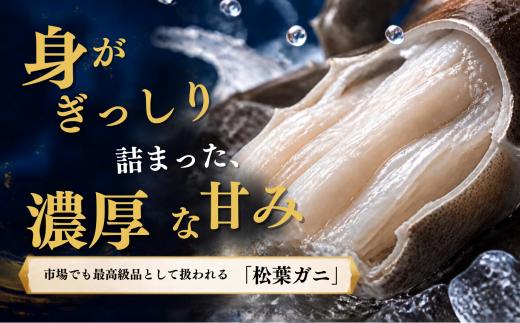 漁協認証タグが付いており、ご安心してお家で楽しめる松葉ガニでございます！