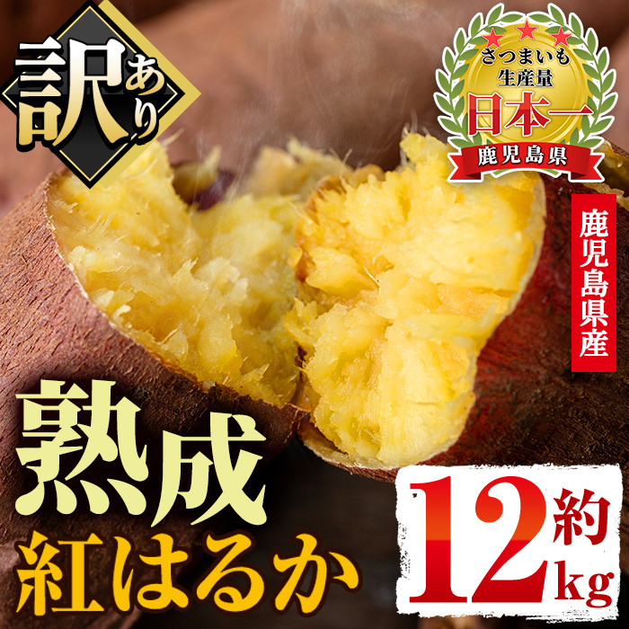No.560-B ＜訳あり・不揃い＞鹿児島県産さつまいも！熟成紅はるか(約12kg) 国産 九州産 サツマイモ  訳アリ 紅春香 熟成 芋 焼き芋 野菜 スイーツ 常温保存【末永商店】