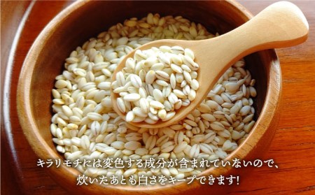 【全3回定期便】もち麦 キラリモチ 4kg（1kg×4袋）【大塚米穀店】雑穀 雑穀米[HBL039]