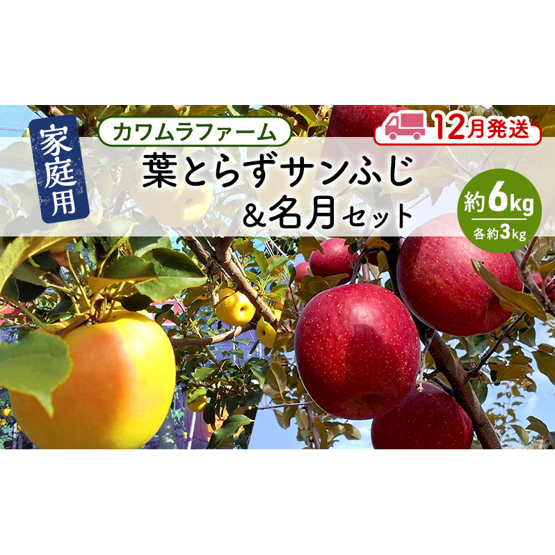 りんご 【12月発送】カワムラファーム 家庭用 葉とらず サンふじ & 名月 セット 約6kg 【弘前市産 青森りんご】 青森 弘前