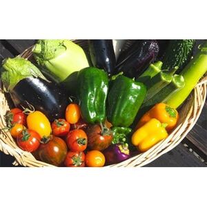 【発送月固定定期便】『旬なお野菜をお届け!』約10種類お野菜詰め合わせセットをお届けします!全2回【配送不可地域：離島】【4067224】