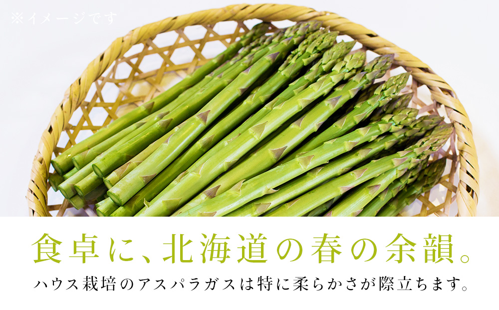スロウ（膝掛け）ダークグレー　1枚