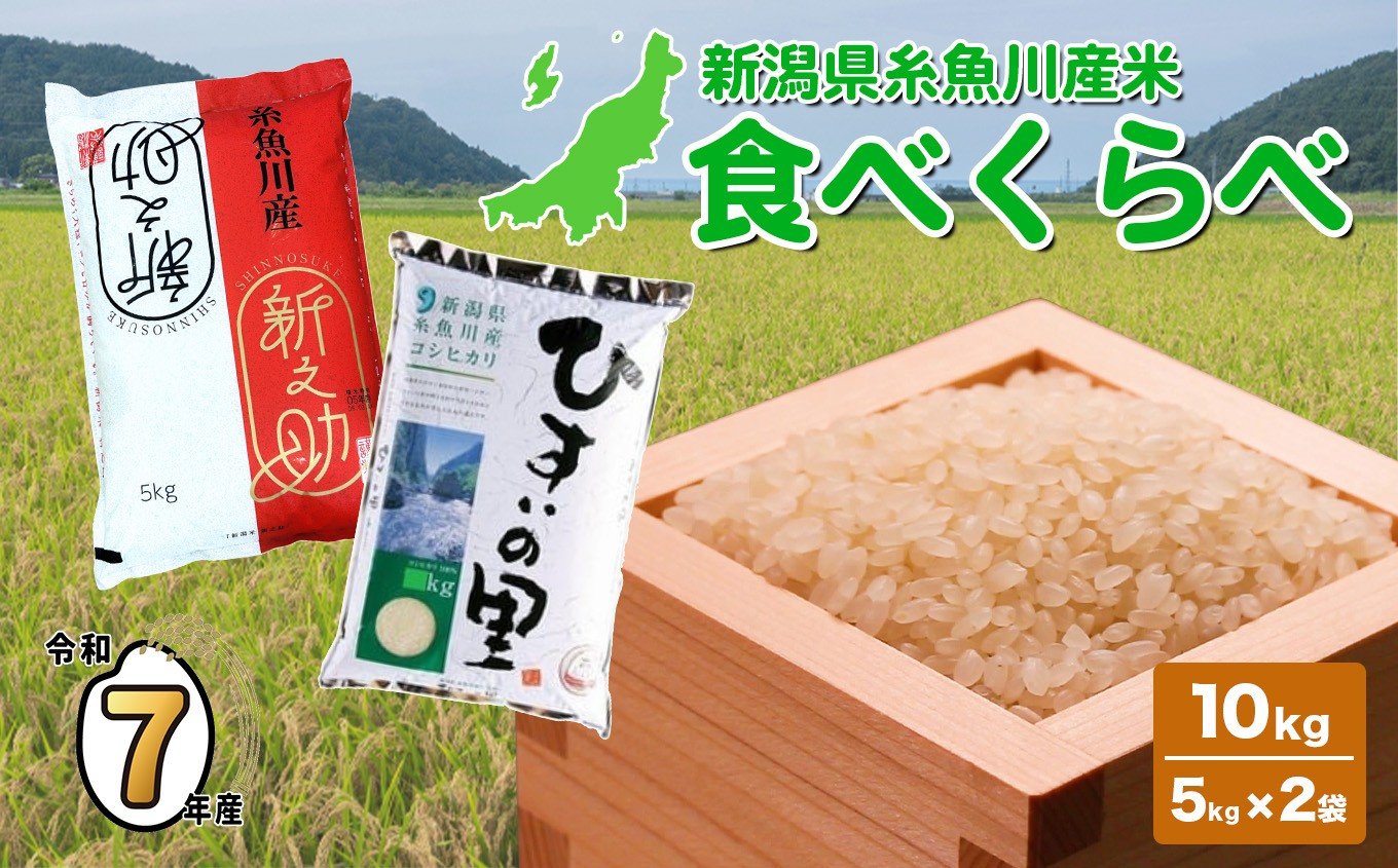 
                  【選べる発送時期】令和7年産 新之助･コシヒカリ 各5kg 計10kg 食べ比べセット 白米【米 お米 こめ コメ しんのすけ ひすいの里 こしひかり ご飯 ライス ふるさと納税米 ブランド米 2025年産 食品 人気 おすすめ 新潟県 糸魚川市 5キロ 精米】
                