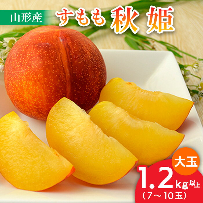 【ふるさと納税】山形のすもも[秋姫]大玉 1.2kg以上(7〜10玉) 【令和7年産先行予約】FU22-800くだもの 果物 フルーツ 山形 山形県 山形市 お取り寄せ 2025年産