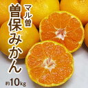 【ふるさと納税】【先行予約】 みかん 曽保みかん 約 10kg L～Sサイズ フルーツ 果物 果実 柑橘 デザート スイーツ ジューシー 甘い 果汁 常温 食品 国産 香川県 三豊市 極早生みかん お取り寄せ 五色青果 送料無料 17000円