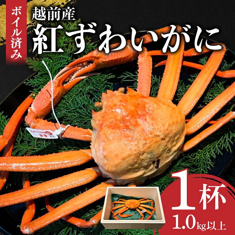 【ふるさと納税】【産地直送】越前産　紅ずわいがに1.0kg以上×1杯 [D-00904 / ズワイガニ ズワイ蟹 ずわい蟹 ずわい 剥き身 脚 爪 脚 かにしゃぶ カニ鍋 蟹 お歳暮 カニ かに ふるさと納税かに