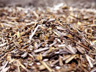 ほうじ茶 ティーバッグ 10包 8袋 セット 有機茶 オーガニック茶 静岡県産 日本茶 お茶 静岡県 藤枝市 ( お茶 静岡 お茶 静岡 お茶 静岡 お茶 静岡 お茶 静岡 お茶 静岡 お茶 静岡 お