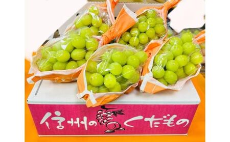 ぶどう 先行予約 長野県産 シャインマスカット 約2kg 訳あり 葡萄 ブドウ 果物 フルーツ シャイン マスカット デザート おやつ 信州 2024年秋発送