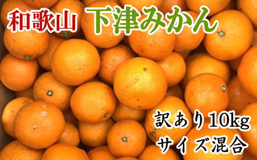 
【産直】和歌山下津みかん　10kg（訳ありサイズ混合）※2024年11月中旬～2025年1月中旬頃に順次発送【tec885】
