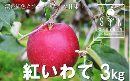 【先行予約】 松陽園 樹上完熟 りんご 紅いわて 3kg 【2026年9月中旬ごろから発送予定】 農家直送