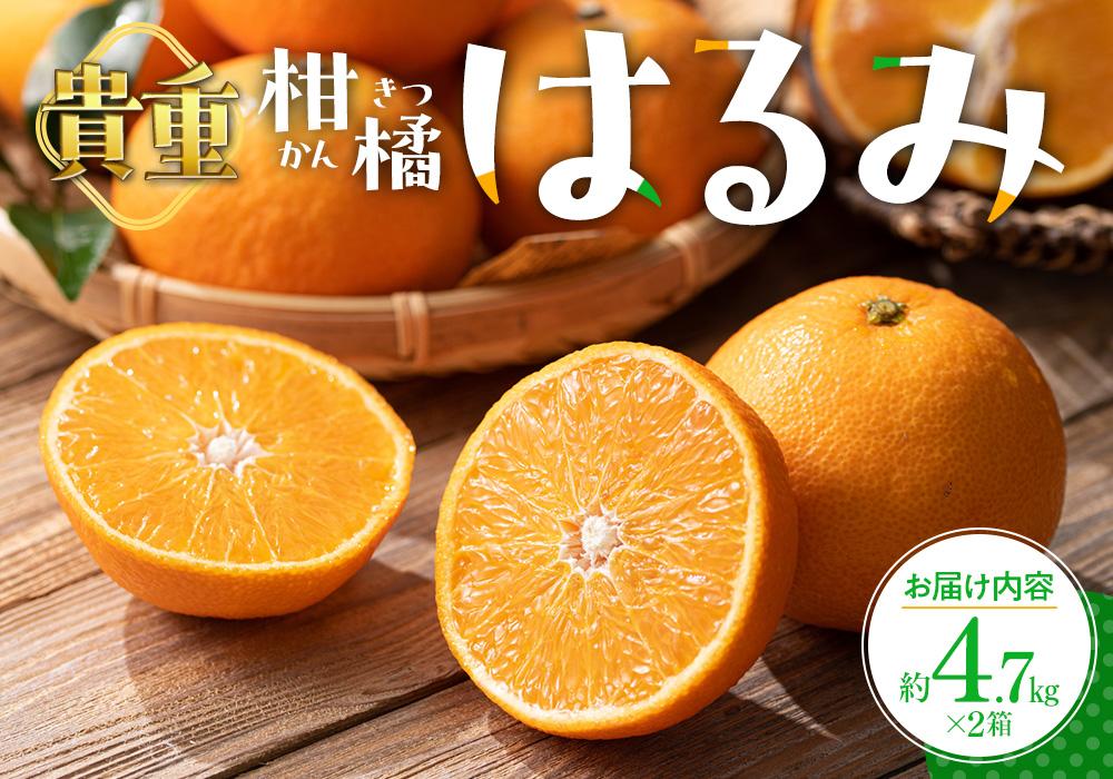 貴重柑橘　はるみ　約4.7kg×2箱【2027年2月上旬～2027年3月中旬配送】 372013_T006-092J