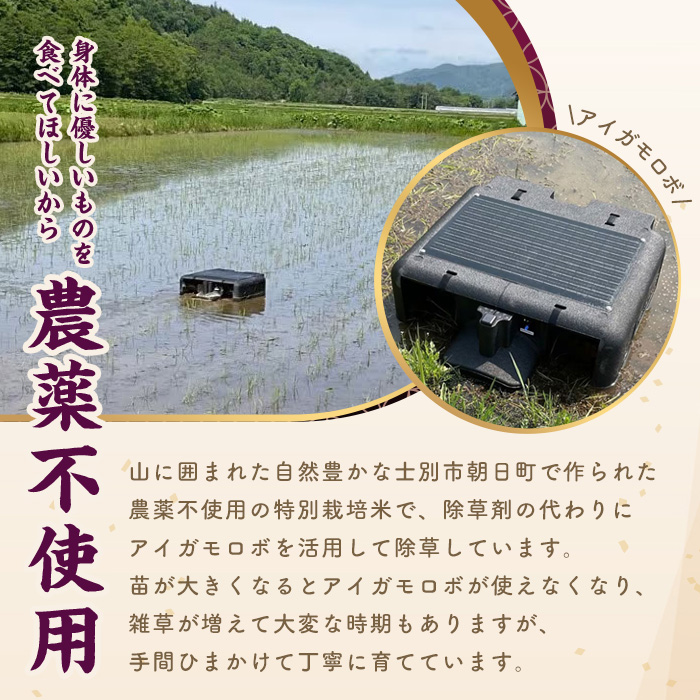 《特別栽培米》北海道士別市産 ななつぼし 玄米 「おむすび」 (5kg) 数量限定 米 お米 玄米 道産米 北海道米 ごはん おこめ コメ 【高松農園】【B7145】