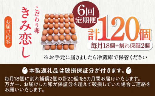 【6回定期便】きみ恋し 箱入り 20個（18個+割れ保証2個）×6ヶ月　総計120個 たまご 卵 玉子 タマゴ 鶏卵 濃厚 玉子焼き 卵焼き オムレツ たまごかけご飯 冷蔵 広川町 / 伊藤養鶏場 [AFAJ006]