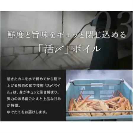 【蟹セレブ】タグ付き活〆ボイル・松葉がに(大・800g前後)【配送不可地域：離島・北海道・沖縄県・東北・関東・信越、北陸・東海・九州】【1543634】