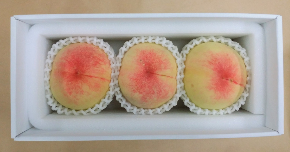【2026年発送】とろける岡山の大玉白桃   3玉（約1.0kg）