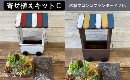 多肉植物 寄せ植えキットC ワゴン型プランター 多肉植物【全2色】 茶色