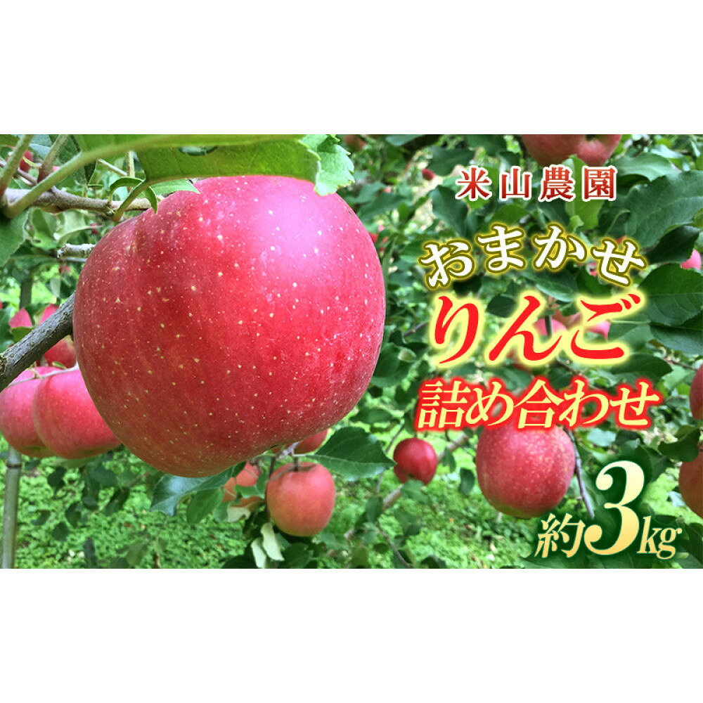 【ふるさと納税】米山農園のおまかせりんご（紅玉または秋映え・シナノスイート・シナノゴールド・王林・サンふじ）約3kg 10月から順次発送 | りんご 旬の味覚 詰め合わせ おまかせ ジューシー 林檎 果物 食べ比べ 長野