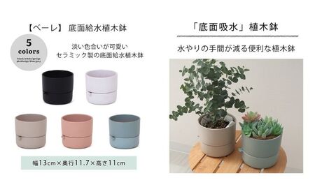底面吸水植木鉢 bere べーレ ブラック