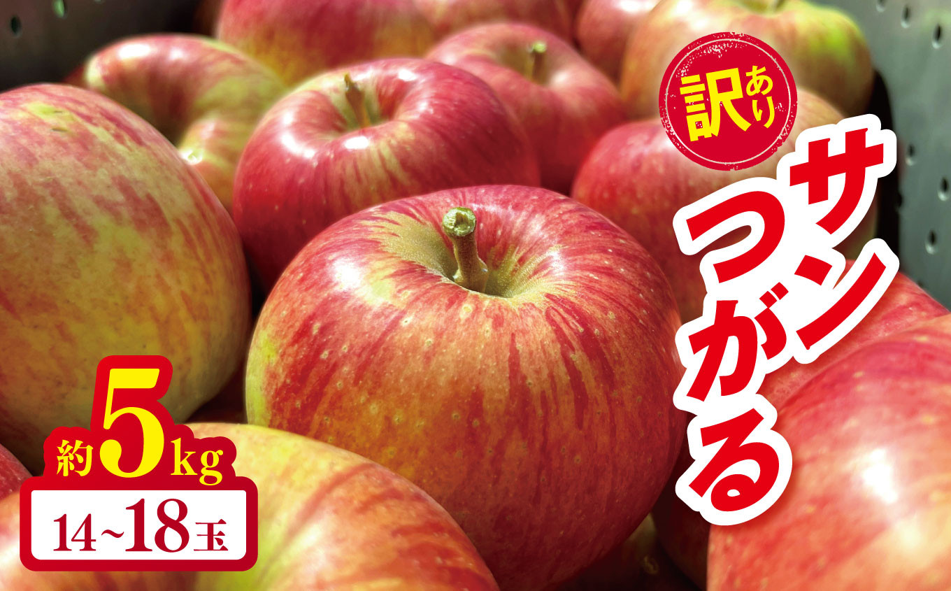 
            *【2025年先行予約】やまし平林農園 訳あり サンつがる 約5kg｜ リンゴ りんご 林檎 果物 フルーツ 果実 果汁 サンつがる さんつがる 家庭用 わけあり 訳アリ 長野県 松川村 信州
          