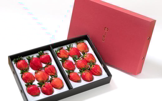 【先行予約】大粒厳選いちご やよいひめ 900g（450g×２パック）苺大野屋 宮崎県西都市＜3-51＞苺 いちご 果物 くだもの フルーツ 贈答用 ギフト 大粒900ｇ(450ｇ×2パック)【寄附額