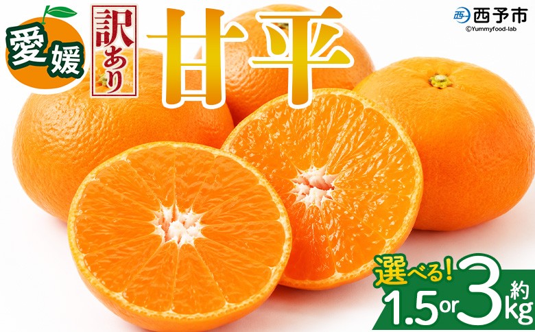 
                  ＜【訳あり】愛媛県産 甘平 約1.5kg／3kg＞『2027年2月上旬～3月下旬迄に順次発送予定』 選べる 容量 内容量 わけあり かんぺい みかん 蜜柑 訳あり 果物 くだもの フルーツ ミカン シャキシャキ 果汁 国産 株式会社三代目みかん職人 愛媛県 西予市【常温】
                