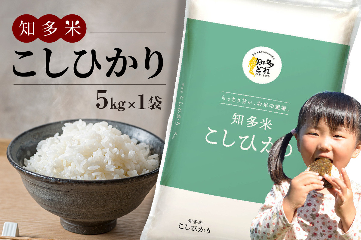 
            知多米　こしひかり5kg ／ お米 白米 うるち米 コシヒカリ 愛知県 特産品
          