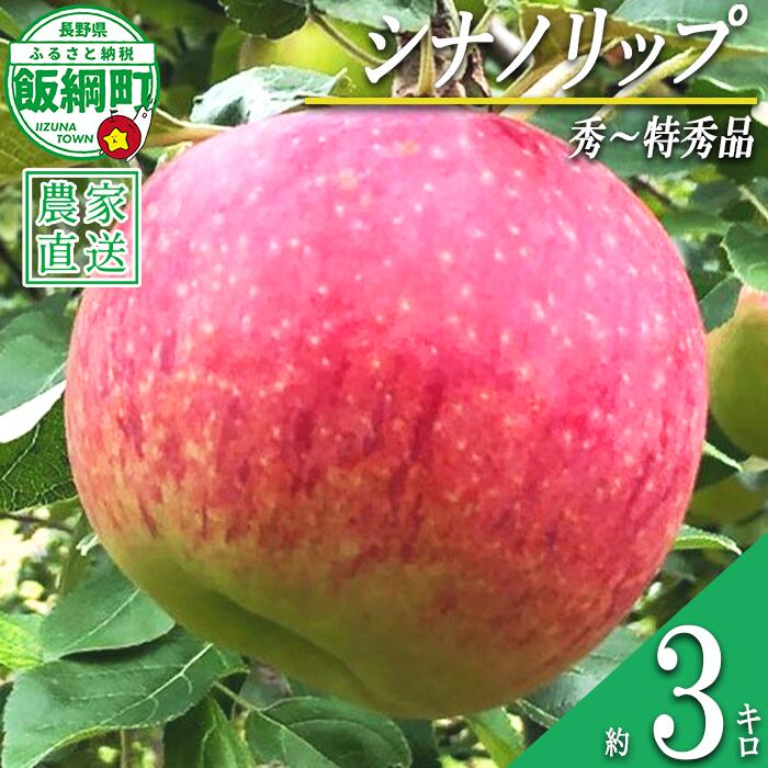 【ふるさと納税】 りんご シナノリップ 秀 〜 特秀 3kg サイズおまかせ 井澤農園 沖縄県への配送不可 令和8年度収穫分 エコファーマー認定 長野県 飯綱町 〔 信州 果物 フルーツ リンゴ 林檎 長野 15000円 予約 農家直送 〕発送時期：2026年8月中旬〜2026年9月上旬 {***}