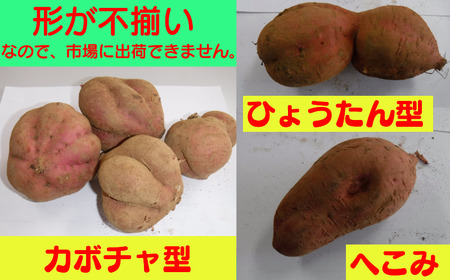 中園ファーム の 【訳あり】 完熟 安納いも 5ｋｇ　NFN401 【200pt】 