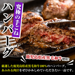 ＜定期便・全6回(隔月)＞＜訳あり＞鹿児島県産黒毛和牛！手ごねハンバーグ(合計48個・100g×8個×6回) 国産 牛肉 小分け おかず 惣菜 個包装 ご自宅用 エコパッケージ 冷凍ハンバーグ【スーパ