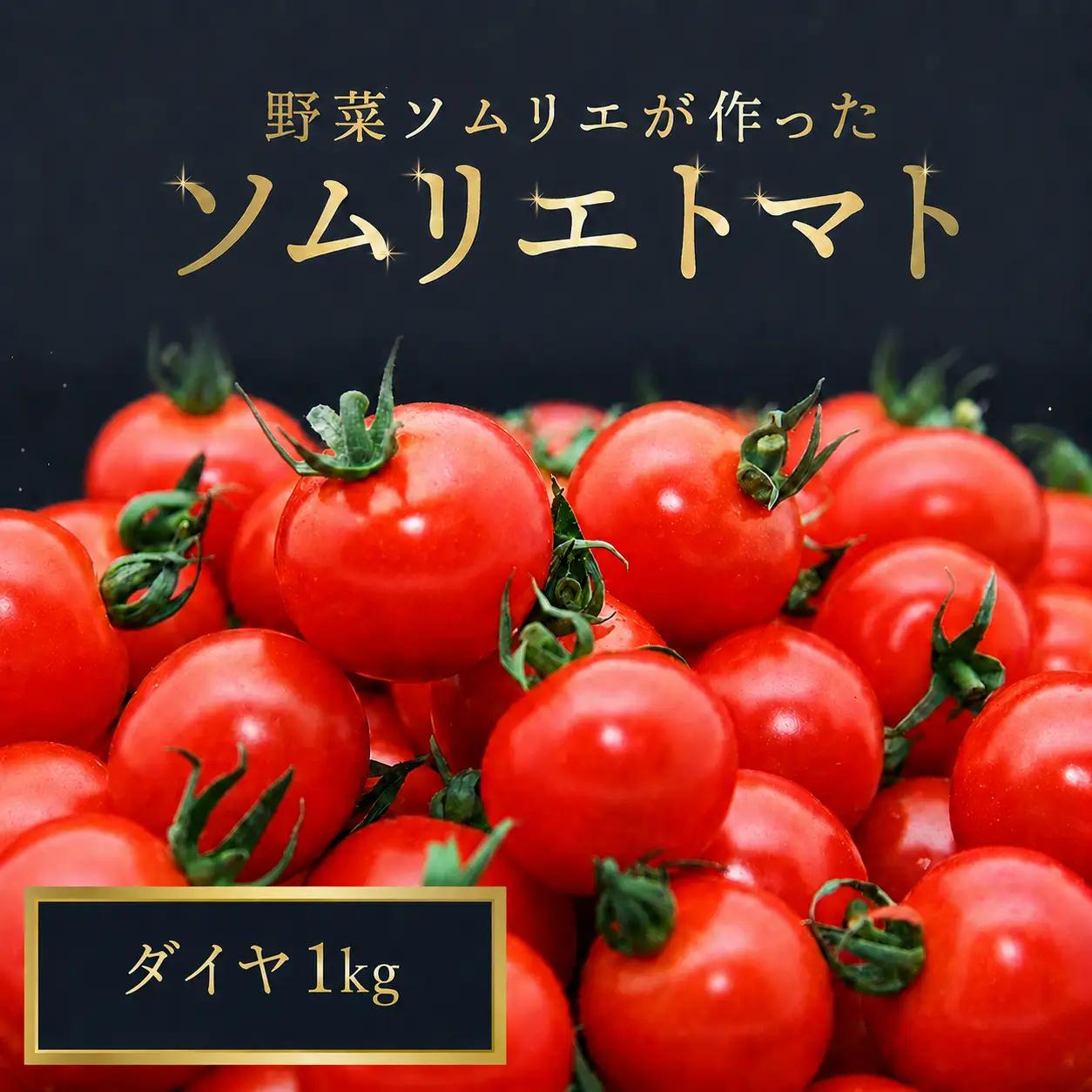 ミニトマト（ダイヤ）1kg｜レッドアップ