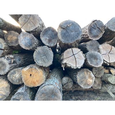 ふるさと納税 伊那市 乾燥・ナラ薪40cm　(20kg×2箱セット)(DLD　ディーエルディー) |  | 01