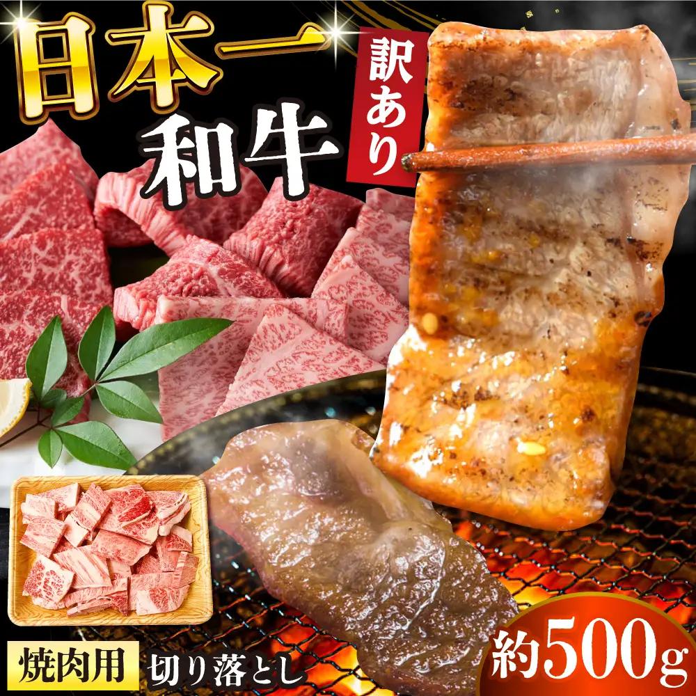 訳あり 長崎和牛 焼肉切り落とし 肩ロース・バラ 500g [DBS003] 訳アリ 牛肉