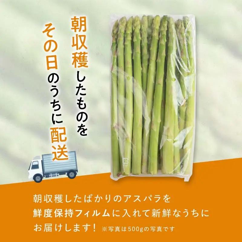 【先行予約】朝採れ新鮮アスパラ 750g （Mサイズ） (2027年3月下旬~6月中旬または2027年7月上旬~9月上旬発送) 野菜 秀品 北海道産 バーベキュー BBQ キャンプ 旬野菜 アスパラガ