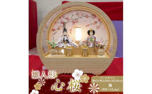 【雛人形】心桜 柳（約9～11㎝）二人 アクリルケース 灯り付 円型