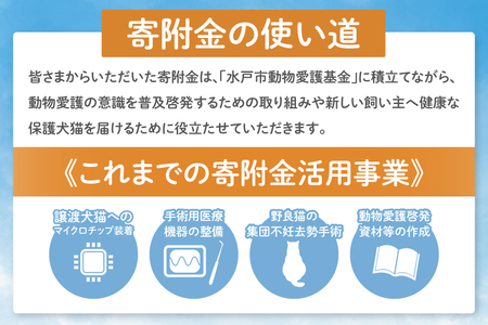 【返礼品なし】水戸市 動物愛護寄附金 Animal Welfare Donations『人と動物がしあわせに暮らせるまちづくり Creating a city where people and ani