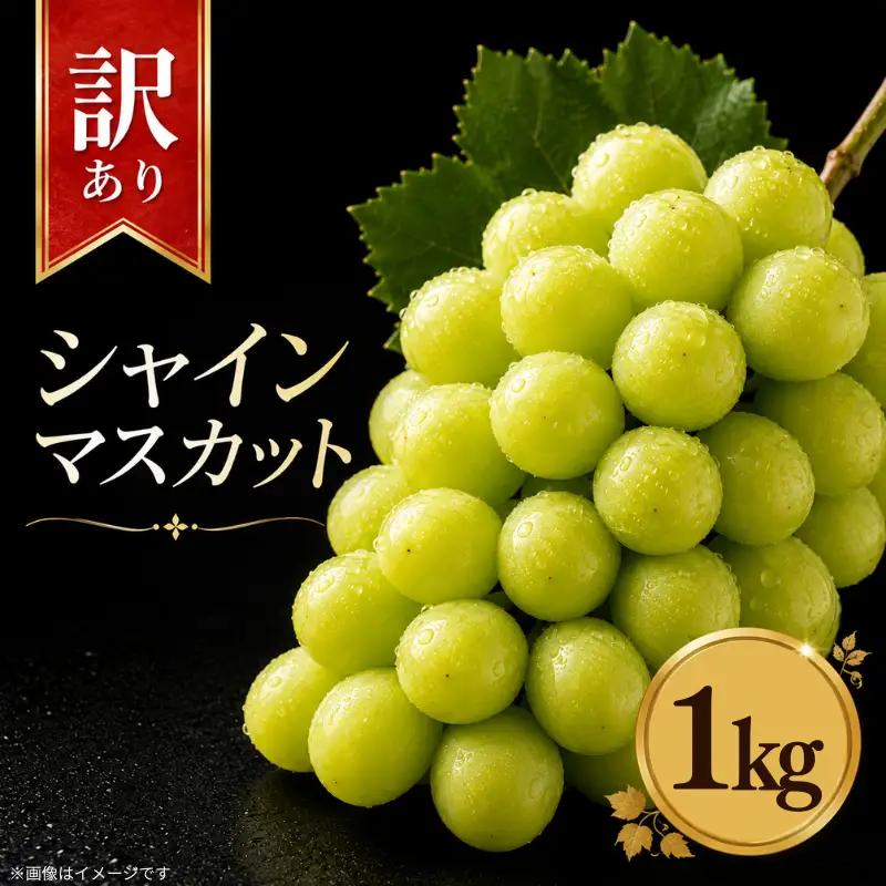 訳あり シャインマスカット 約 1kg  【 シャインマスカット 】