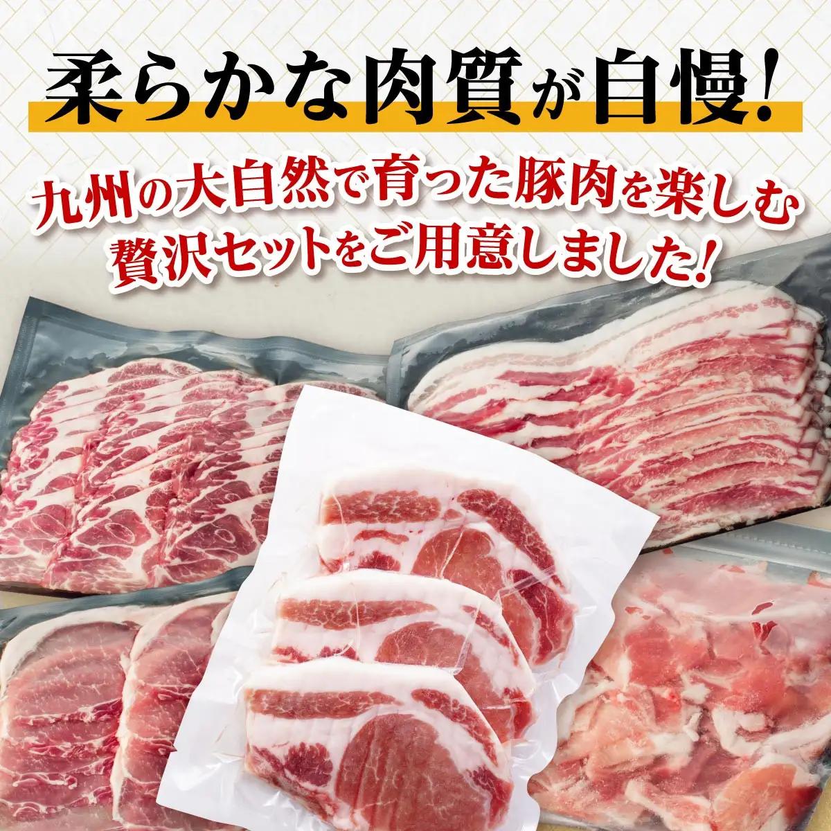 【定期便】豚肉4種 贅沢セット 2.25kg 全3回定期便